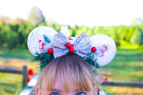 Snow globe Mickey ears